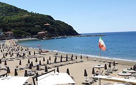 Oceane Paradise